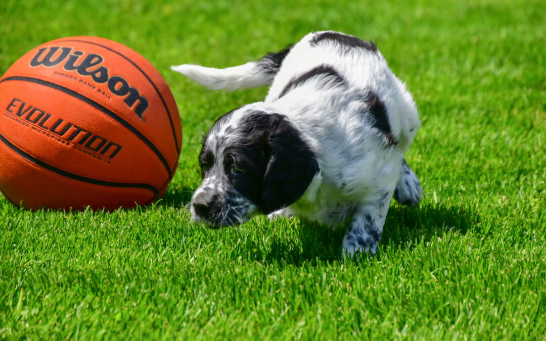 Environnement Accueillant