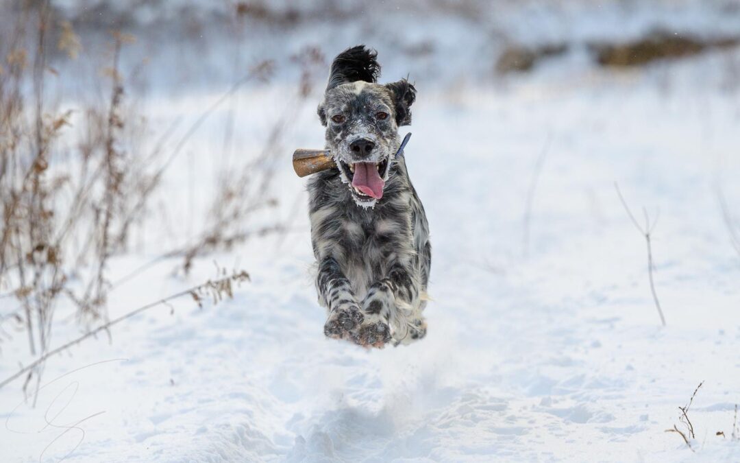 L&rsquo;Exercice Essentiel