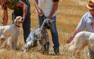 Voyager en Toute Sérénité